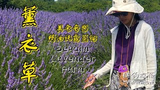 美國旅遊｜漫步北美薰衣草之都Sequim 香氛花田啖美食 見證精油純露蒸餾過程好神奇Jardin du Soleil Lavender Farm Festival