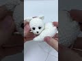 🦊crochet snow fox ✨ crochetanywhere crochet amigurumi howtocrochet diy