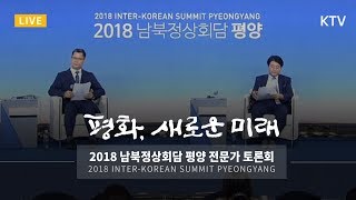 2018 남북정상회담 평양 전문가 토론회