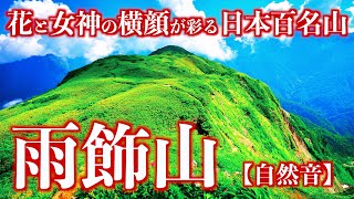 【登山】夏の雨飾山｜花咲く深緑の稜線に描かれた女神の横顔を望む日本百名山(自然音)＜Japan in 4K／Nature Sound＞