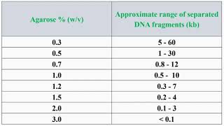 Concentrations of Agarose Gel and The Approximate Range of Separated DNA Fragments in Kbp