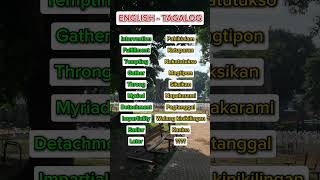 215 English Tagalog Translation #reels #shorts #short #video #shortvideo #youtubeshorts #subscribe