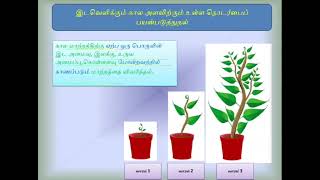 அறிவியல் ஆண்டு 4,5,6 : அறிவியல் திறன்கள் (அனுமானித்தல், தொடர்பு கொள்ளுதல், இடவெளிக்கும்........... )