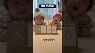 쌍둥이 생후 150일 기념 촬영 📷 | Celebrating 150 days with our twins in a special photoshoot