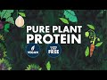 dr. praeger s launches new pure plant protein line