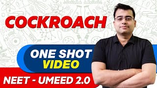 COCKROACH in 1 Shot - All Theory, Tricks \u0026 PYQs | NEET Crash Course | UMEED 2.O