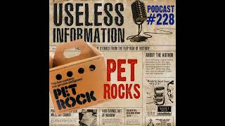 Pet Rocks - UI Podcast #228