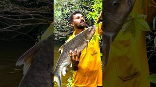 ഈ വർഷത്തെ ആദ്യത്തെ കറ്റി പിടുത്തം .. #mahasheerfishing