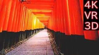 【4K VR180】Japan Kyoto Fushimi Inari Taisha (日本 京都 伏見稲荷大社)