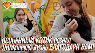 Особенный котик познал ДОМашнюю жизнь БЛАГОДАРЯ ВАМ! | Гриша