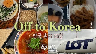 한국휴가 vlog 외노자의 한국 여행 • 한숨쉬는 옆자리 진상 썰 • 바르샤바-인천 폴란드항공 한식 기내식