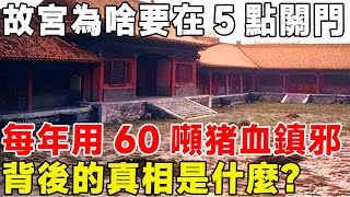 故宮為啥要在5點關門，每年用60噸猪血鎮邪，背後的真相是什麼？#科普 #科普頻道