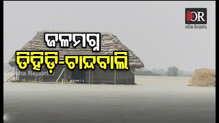 ଜଳବନ୍ଦୀ ଅବସ୍ଥାରେ ତିହିଡ଼ି ଓ ଚାନ୍ଦବାଲି ବ୍ଲକ | Bhadrak || Odisha Reporter