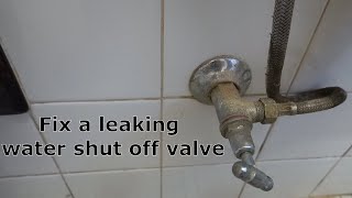 How to replace / repair water shut off valve - DIY