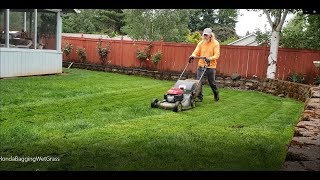 Honda HRX217 Lawn Mower Full Review and Demonstration