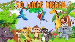 50 WILDE DIEREN