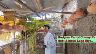 Nestbox \u0026 Matki Installed In Budgies Colony / Budgies Parrot Colony Pe Nest \u0026 Matki Laga Diya.