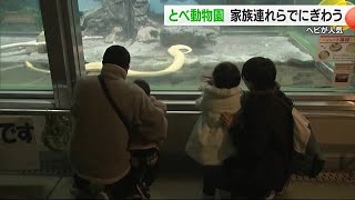 白と黄色のヘビが人気！　とべ動物園にぎわう　最大９連休の年末年始は終盤【愛媛】 (25/01/04 17:30)