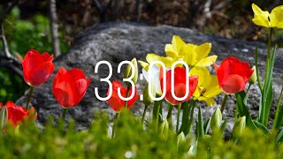 33 Minute Timer with Music | Spring Timer🌹