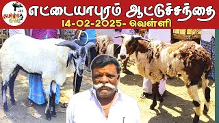 14-02-2025- எட்டையாபுரம் வெள்ளிக்கிழமை ஆட்டுச் சந்தை தூத்துக்குடி மாவட்டம்