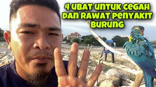 Sediakan ubat ini untuk mencegah dan merawat burung parrot kesayangan anda sebelum terlambat