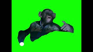 Monkey saying "OH NO!" meme - Bad Ape War for the Planet of the Apes (Green Screen Memes) 🟢