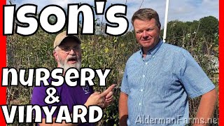 Ison's Nursery and Vinyard | Brooks, GA | AldermanFarms