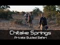 Private Guided Safari to Chitake Springs