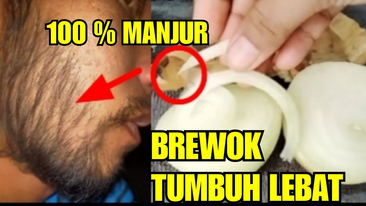 MAKSIMAL !! CARA BREWOK TUMBUH LEBAT & CEPAT || MAXIMUM !! HOW TO GROW ...