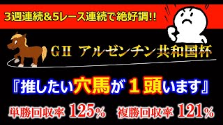 【アルゼンチン共和国杯2022】本命はあの大穴馬から🤩帯も狙える高配当に期待🌪