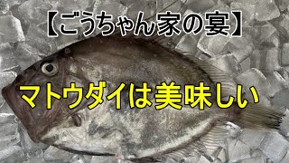 フェアリーオラクルカードからのマトウダイをお刺身で食べた【カオス動画】