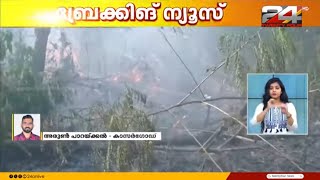 കാസർഗോഡ് പാറകട്ടയിൽ തീപ്പിടുത്തം,  ഒരേക്കറോളം പുല്ലും മരങ്ങളും കത്തി നശിച്ചു