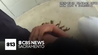 Video shows police arresting Fairfield High School students after fight