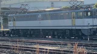 EF65 2057号機[新]牽引　配給貨物列車