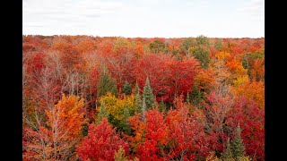 Fall bursts into color in Michigan's Upper Peninsula