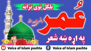 pashto naat || pashto nazam|| نعت شریف پشتو|| pashto naat 2023|| Voice of Islam pashto||