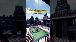 SriVenkateshwara swamy alayam #trending #tirupati #shortsvideo #trending #video #viral #balaji #feed