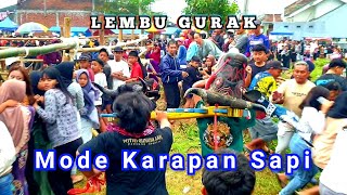 Bikin Heboh . Mberot Mode Karapan- Bantengan LEMBU GURAK Live Plosokerep Dengkol Singosari