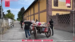 Chariots pulled by oxen distribute bread to villagers in a small Piedmont village