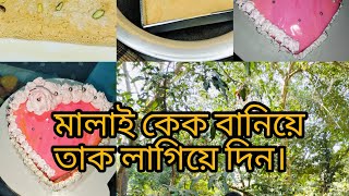 🌹এই ভাবে বাসায় সবাইকে মালাই কেক বানিয়ে খাওয়ালে সবাই একদম পাগল হয়ে যাবে,,,,,?😀