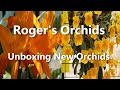 Unboxing New Orchids