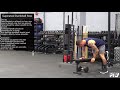 supinated dumbbell row