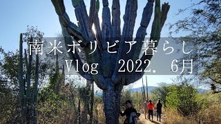 南米ボリビア暮らしVlog 【サンタクルスで購入代行ミッション、コマラパのサボテンパーク、サマイパタのインティライミ祭】