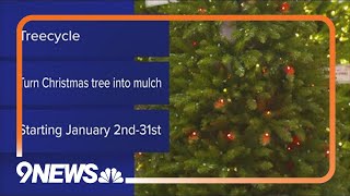 Where to do go recycle your Christmas tree in the Denver metro area