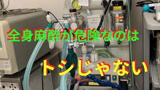 全身麻酔の危険性【キャンベル動物病院】