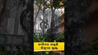 ପ୍ରବଳ ତାତିରେ ଜଳିଗଲା ବିଦ୍ୟୁତ ଖୁଣ୍ଟ | #electricpole #electricity #heatwave