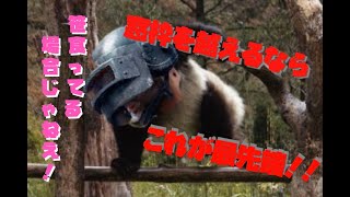 【PUBG MOBILE】パルクールを超える窓枠の越え方が判明！！