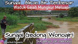 Mancing  (Nyetek) Sogo Sungai  Terbesar  sebab Meluap  Waduk Gajah Mungkur Wonogiri