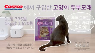 코스트코 고양이 모래 리뷰 | 두부모래 사용 이유 | 모래 비교 | 미오 두부모래 극세입자 라벤더향 | 후추로그