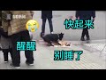 小黄狗过马路被车撞飞 同伴反复拍打欲唤醒